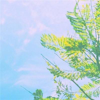 公路超级跑车赛